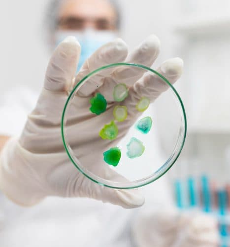 From Lab to Life: Anti-Microbial Coatings Transforming Industries