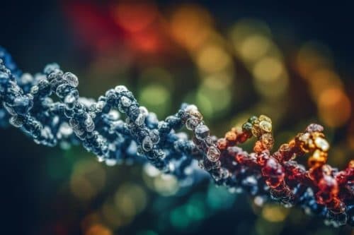 Carbon Nanotubes Workshop: Advancements, Challenges, and Opportunities