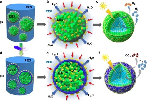 Green Nanoparticles: Applications to Drug Delivery