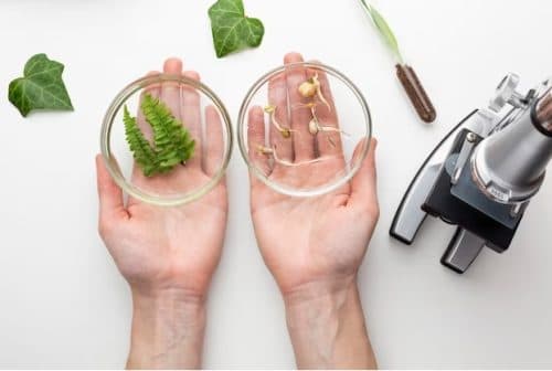 Bio refinery- From Biomass to Value Based Bio products Course