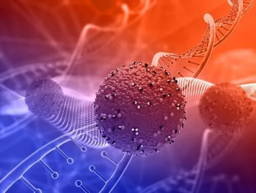 Designing Nanoparticles for Targeted Cancer Therapy