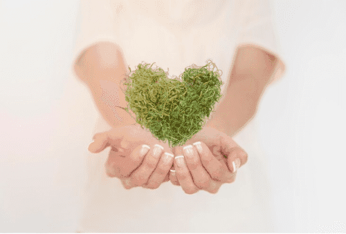 EHS (Environment, Health & Safety) Compliance Professional Program