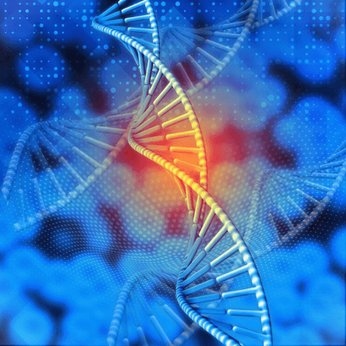 Epigenetic Mechanisms in Gene Regulation Course