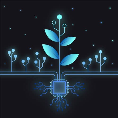 IoT-Enabled Vertical Farming: Integrating Sensors and Biotechnology for Optimized Crop Production