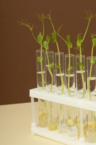 Digital Agriculture and Precision Biotechnologies Course