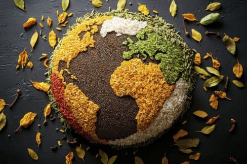 Transforming Kitchen Waste into Carbon Nanomaterials