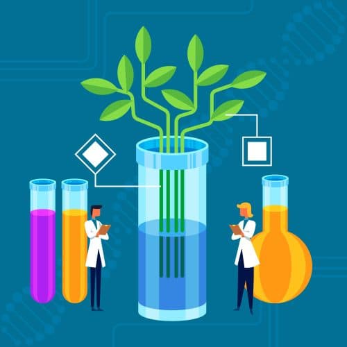 Genetic Engineering in Agricultural Biotechnology Course