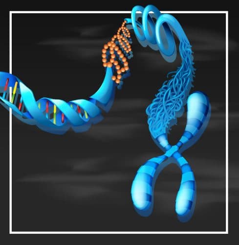 Epigenome Editing: Modifying Gene Expression Without Changing DNA Course