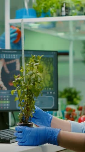 Recent Development in Nanotechnology for Sustainable and Smart Agricultural practices