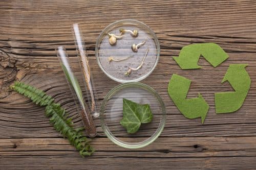 Bioplastics from Agricultural Byproducts Course