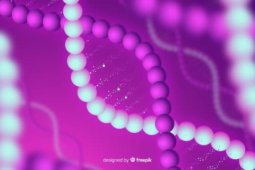 Workshop on Protein-Protein Interaction (PPI) Network Design and Structure