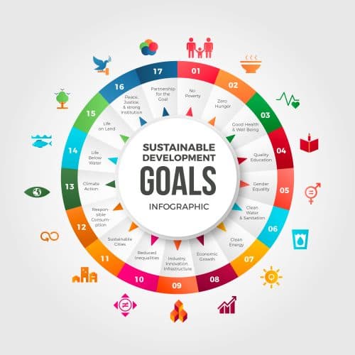 Systems Thinking for Sustainable Development Goals (SDGs)