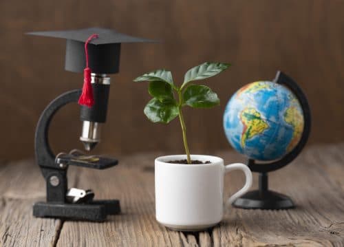 Green Finance and Carbon Markets: Tools for Academics