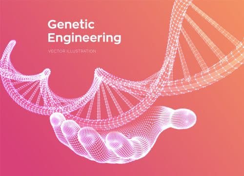 AI-Driven CRISPR Guide RNA Design & Off-Target Prediction