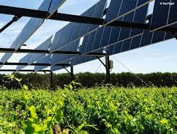 AI for Smart Agrivoltaic Systems