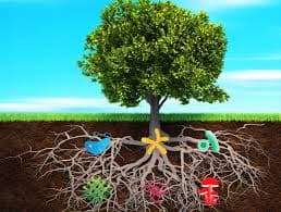 AI for Predictive Crop Protection with Microbial Data Science